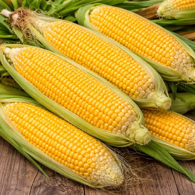 Sweet Corn